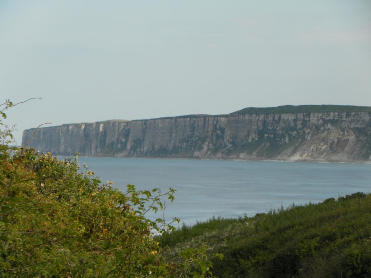 法利Nett'S Coastal Escape别墅 外观 照片